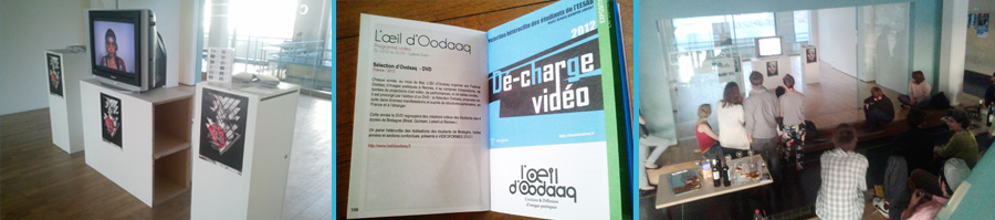 Présentation des dé-charges vidéo au festival Vidéoformes à Clermont-Ferrand